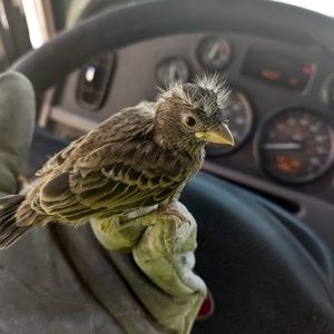 Meet your Posher, Brandon